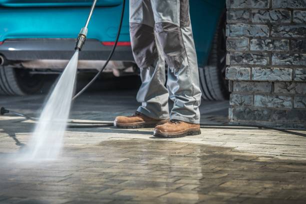 Best Winterizing Services  in White Knoll, SC